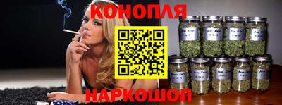 шишки Новозыбков