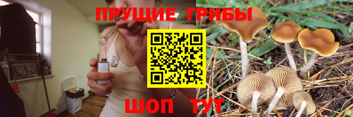 Торжок  Галлюциногенные грибы Magic Shrooms  наркошоп  Вход с VPN 
