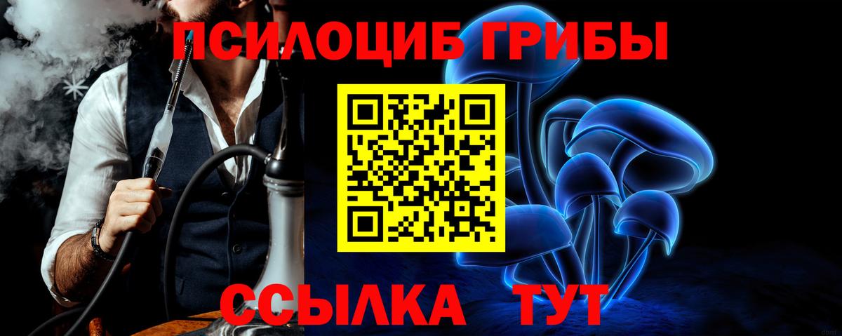 Псилоцибиновые грибы ЛСД Торжок
